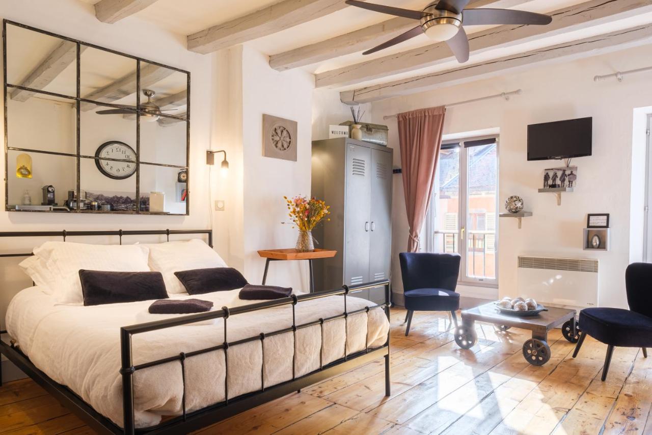 Au Grey D'Annecy, Studio Cosy Au Coeur De La Ville Екстер'єр фото